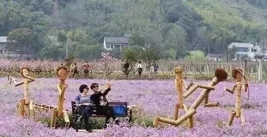 休閑農業、互聯網+農業、眾籌農業、智慧農業都發展到了什么階段？