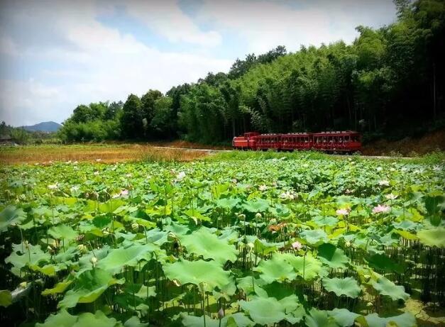 吸引社會(huì)資本20億，魯家村田園綜合體是如何突破并創(chuàng)新的呢？