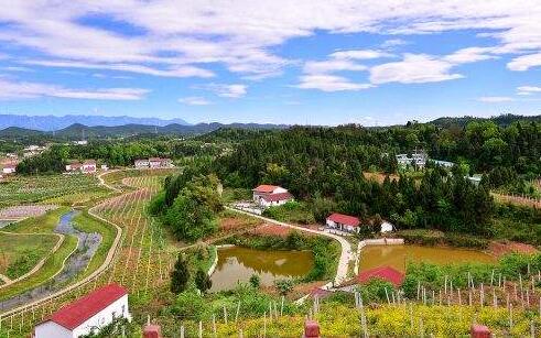 甘肅酒泉鄉村振興戰略：農村“三變”改革試點工作