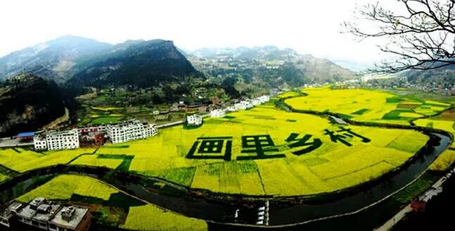 鄉村振興之土地政策梳理：32種農業項目用地解決方案