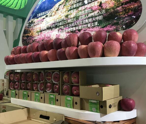第六屆四川農業博覽會是鄉村振興戰略背景下舉辦的新一屆農博會