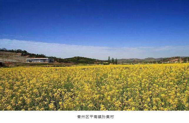 裝配式建筑引領天水鄉村旅游產業發展新模式 