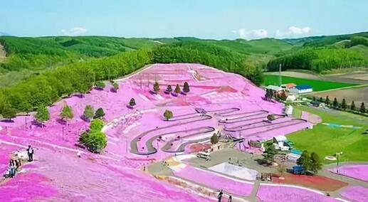 農業休閑項目開發的關鍵有兩個落點(親子、工作)