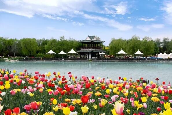 北京市延慶區(qū)四季花海