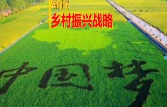 實施鄉村振興戰略第一個五年工作具體部署