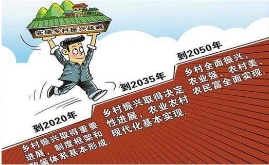 鄉(xiāng)村振興戰(zhàn)略規(guī)劃部署：五年“施工圖”敲定