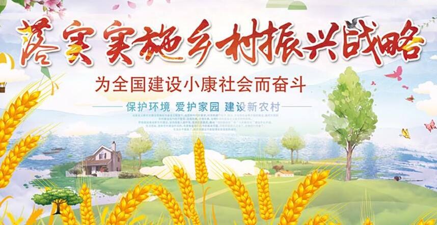 2017-2018年習大大多次多個層面談鄉村振興戰略