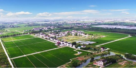 吉林省構建現代農業生產體系——夯實根基，不竭動力汩汩來