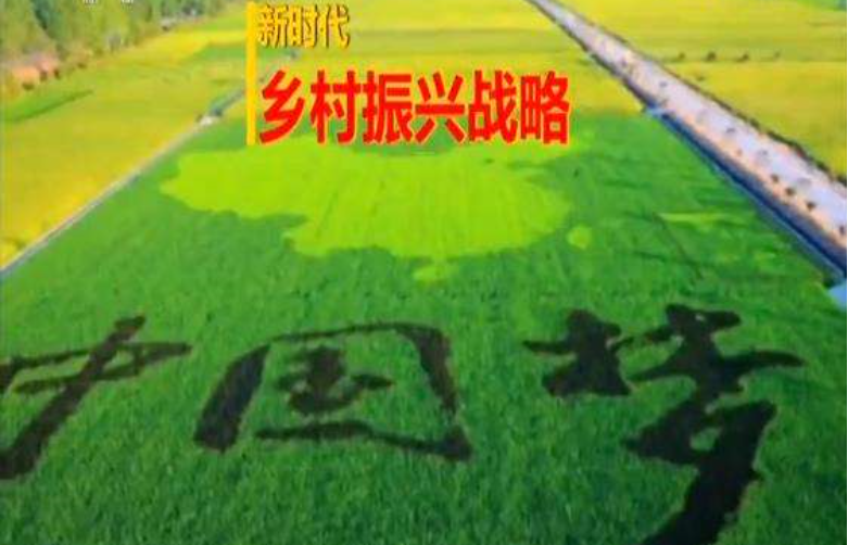 四方面談鄉(xiāng)村振興戰(zhàn)略到底要怎么做？