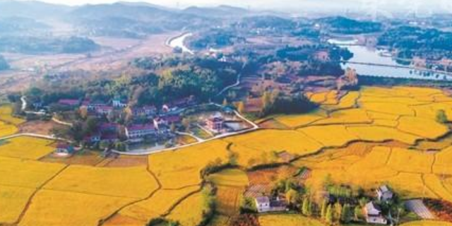 《鄉(xiāng)村振興戰(zhàn)略規(guī)劃（2018－2022年）》五年發(fā)展戰(zhàn)略部署
