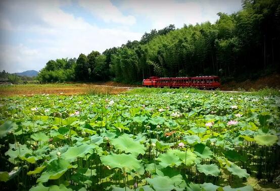 中國最成功的田園綜合體（整合社會資本近20億）——魯家村