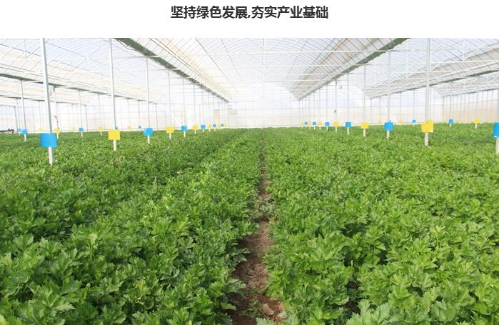 臨澤把生態(tài)宜居、美麗鄉(xiāng)村建設(shè)作為鄉(xiāng)村振興的生命線