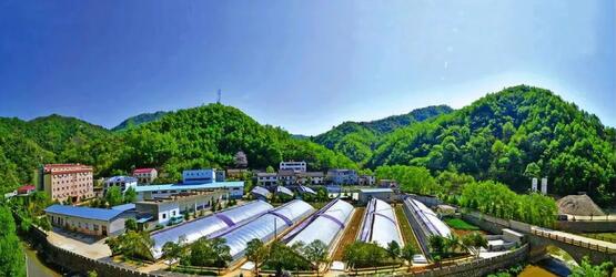 鄉村振興發展：2019年上億資金的農業重點項目補貼