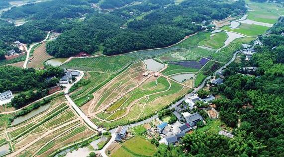影響江蘇19.8萬個自然村美麗鄉村建設的四類問題研究