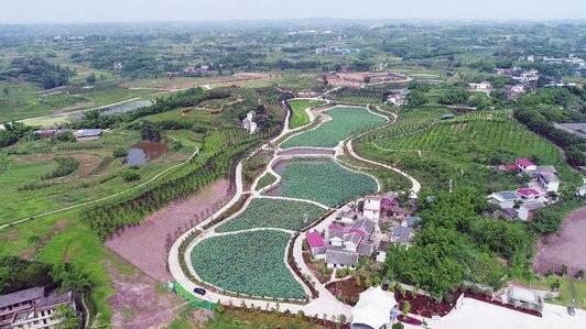 自貢市貢井區(qū)雙輪驅(qū)動,建設(shè)全市產(chǎn)業(yè)轉(zhuǎn)型升級先行區(qū)