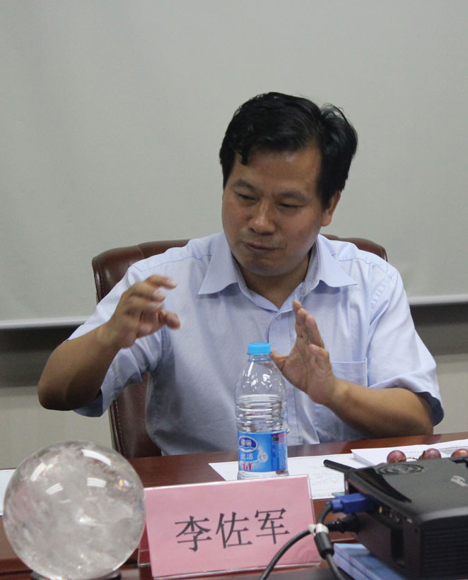 國務院發展研究中心副局長李佐軍發言
