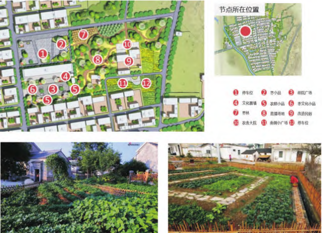 圖8 黃營村“美麗庭院”小菜園設計 圖8 黃營村“美麗庭院”小菜園設計