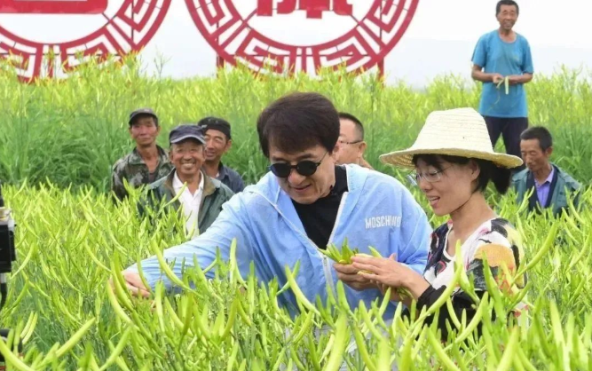 鄉村振興案例:山西云州補齊產業短板 打造“小黃花大產業” 鄉村振興案例:山西云州補齊產業短板 打造“小黃花大產業”