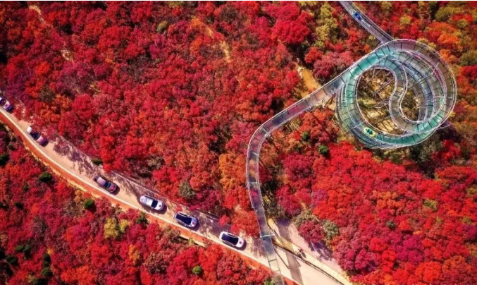 鄉村振興規劃案例:山東博山創意導入現代業態,規劃設計提升土地價值 鄉村振興規劃案例:山東博山創意導入現代業態,規劃設計提升土地價值