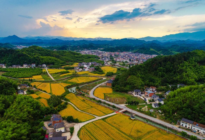 當前鄉村產業振興存在哪些困難?鄉村產業振興5大對策建議 當前鄉村產業振興存在哪些困難?鄉村產業振興5大對策建議