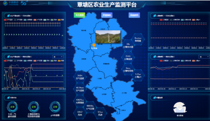 5G技術助力廣西貴港茶產業數字化轉型及產業鏈延伸 5G技術助力廣西貴港茶產業數字化轉型及產業鏈延伸