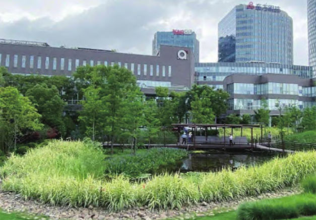 產業園雨水花園 產業園雨水花園