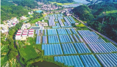 江西省全南縣創新鄉村產業發展路徑探析 江西省全南縣創新鄉村產業發展路徑探析