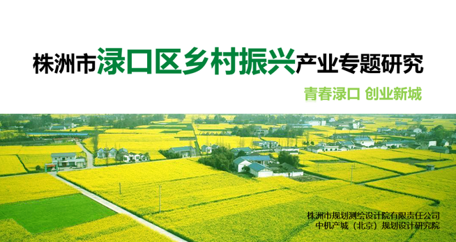 中機院承接《株洲市淥口區鄉村振興產業專題研究》 中機院承接《株洲市淥口區鄉村振興產業專題研究》