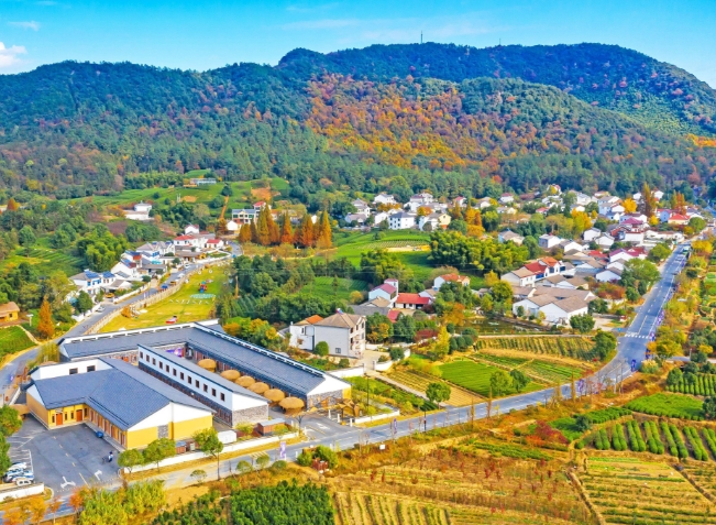 鄉村產業振興規劃的思路是什么?從這五個方面入手! 鄉村產業振興規劃的思路是什么?從這五個方面入手!