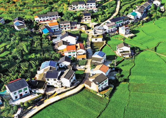 鄉鎮政府推進鄉村振興示范村建設的優化對策 鄉鎮政府推進鄉村振興示范村建設的優化對策