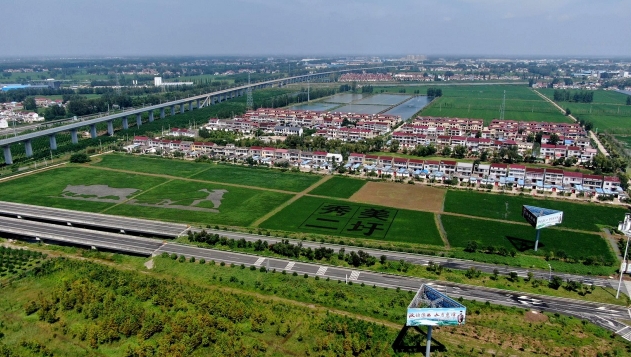 江蘇省灌南縣規劃局賦能鄉村振興托舉村莊未來發展 江蘇省灌南縣規劃局賦能鄉村振興托舉村莊未來發展