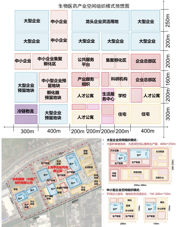 生物醫(yī)藥產(chǎn)業(yè)園及大中小型企業(yè)空間組織 生物醫(yī)藥產(chǎn)業(yè)園及大中小型企業(yè)空間組織