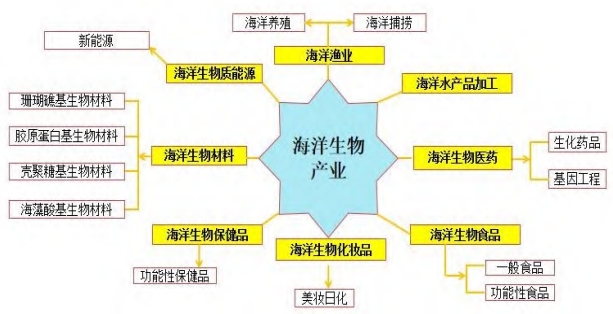 廣東省海洋生物產(chǎn)業(yè)發(fā)展現(xiàn)狀及存在問題分析 廣東省海洋生物產(chǎn)業(yè)發(fā)展現(xiàn)狀及存在問題分析
