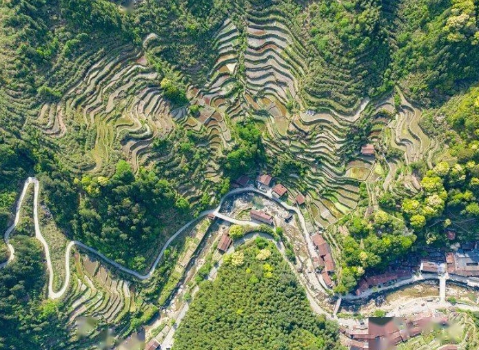 EOD模式下百山祖國家公園既有建筑更新研究 EOD模式下百山祖國家公園既有建筑更新研究