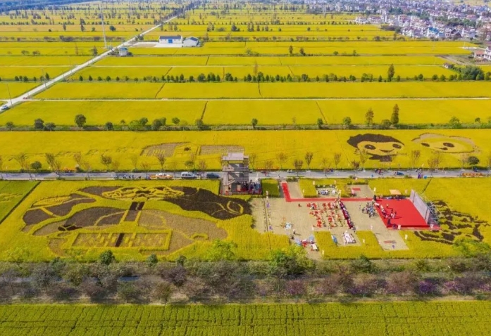 新鄉沿黃灘區稻米之鄉文旅康養規劃設計現存問題及現狀 新鄉沿黃灘區稻米之鄉文旅康養規劃設計現存問題及現狀