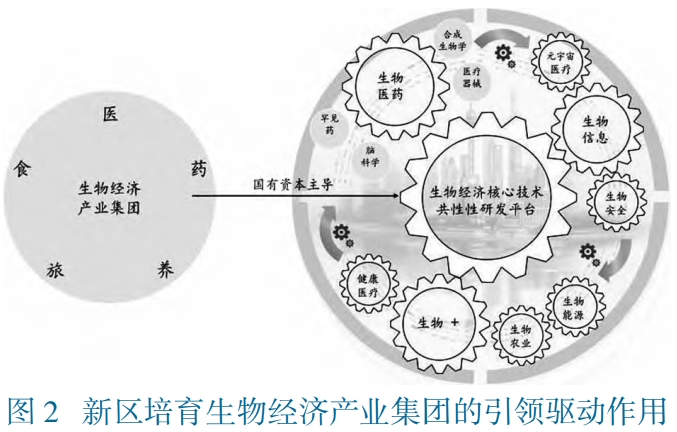 上海市浦東區生物經濟發展路徑對策及建議 上海市浦東區生物經濟發展路徑對策及建議