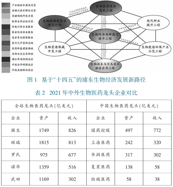 基于“十四五”的浦東生物經(jīng)濟(jì)發(fā)展新路徑 基于“十四五”的浦東生物經(jīng)濟(jì)發(fā)展新路徑