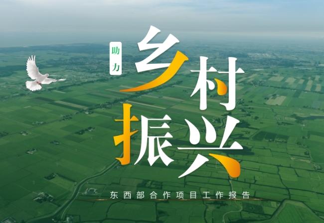 鄉村振興戰略下西部地區鄉村振興的現狀及建設融資分析 鄉村振興戰略下西部地區鄉村振興的現狀及建設融資分析