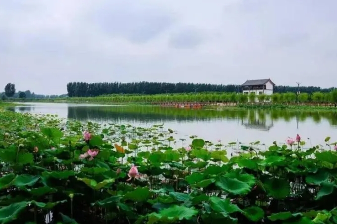 鄉村振興背景下范縣陸集鄉農村產業發展現狀及問題 鄉村振興背景下范縣陸集鄉農村產業發展現狀及問題