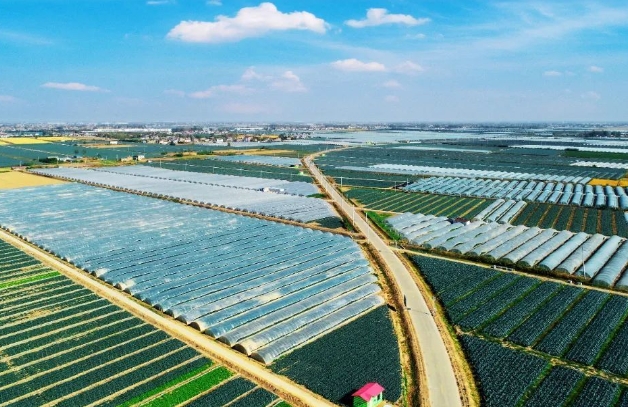 鄉村振興視域下產業振興實踐分析 鄉村振興視域下產業振興實踐分析