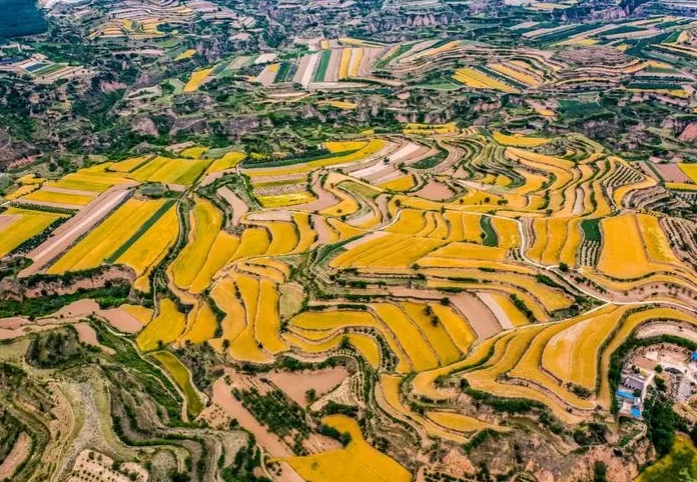 萬榮縣現代農業產業園助推區域農產品銷售的優化路徑 萬榮縣現代農業產業園助推區域農產品銷售的優化路徑