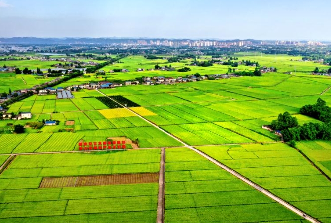 眉山市現代鄉村產業發展的研究報告 眉山市現代鄉村產業發展的研究報告