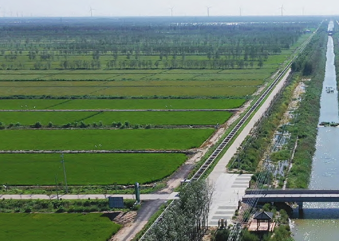 中央預算內投資農業建設項目評估中存在的問題、原因及優化對策建議分析