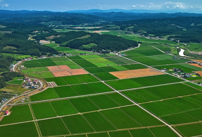 土地利用規(guī)劃與鄉(xiāng)村振興戰(zhàn)略探討 土地利用規(guī)劃與鄉(xiāng)村振興戰(zhàn)略探討