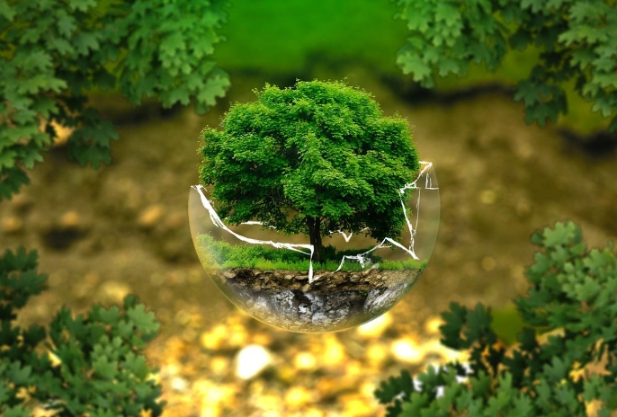 2025年中央預(yù)算內(nèi)投資專(zhuān)項(xiàng)補(bǔ)貼——綠色低碳先進(jìn)技術(shù)示范項(xiàng)目