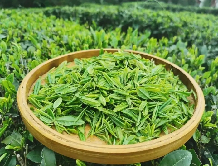 數字經濟視角下我國新茶飲行業的并購現狀、動因與趨勢 數字經濟視角下我國新茶飲行業的并購現狀、動因與趨勢