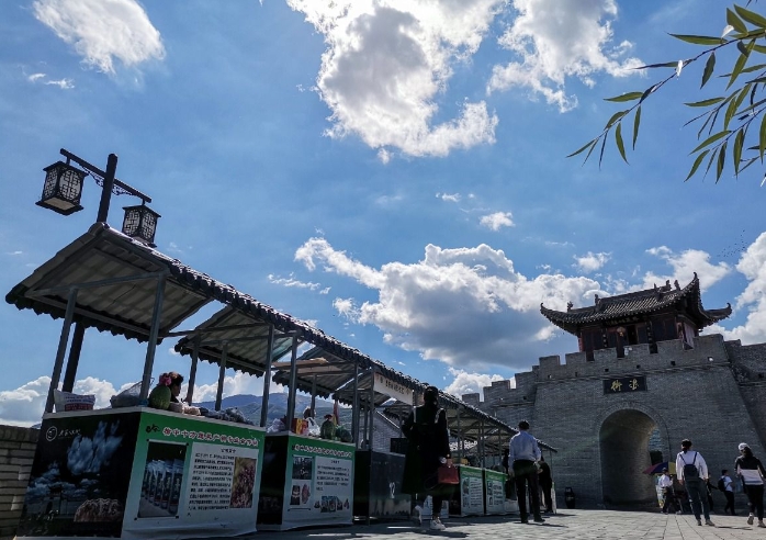 西北欠發(fā)達地區(qū)鄉(xiāng)村產(chǎn)業(yè)振興特征及問題——以榆中縣浪街村村莊規(guī)劃為例 西北欠發(fā)達地區(qū)鄉(xiāng)村產(chǎn)業(yè)振興特征及問題——以榆中縣浪街村村莊規(guī)劃為例