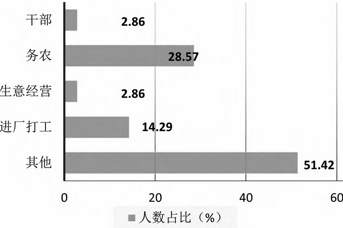 村民從事的主要工作類型 村民從事的主要工作類型