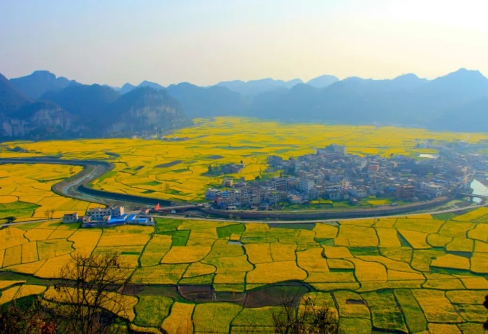 基于N市典型案例的鄉(xiāng)村產(chǎn)業(yè)經(jīng)營路徑選擇 基于N市典型案例的鄉(xiāng)村產(chǎn)業(yè)經(jīng)營路徑選擇