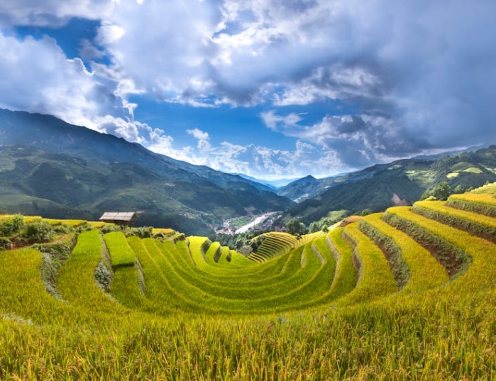 2026年國家現(xiàn)代農(nóng)業(yè)產(chǎn)業(yè)園項目儲備申報指南